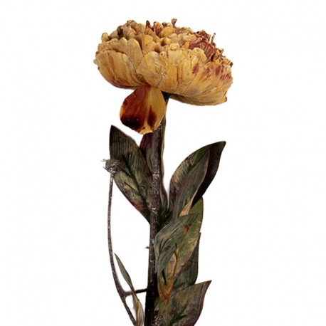 Sztuczne Kwiaty Suszone 65 cm D Clayre & Eef