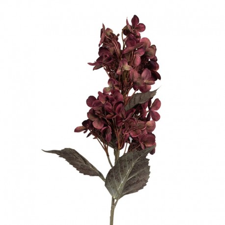 Sztuczne Kwiaty Suszone 72 A Clayre & Eef