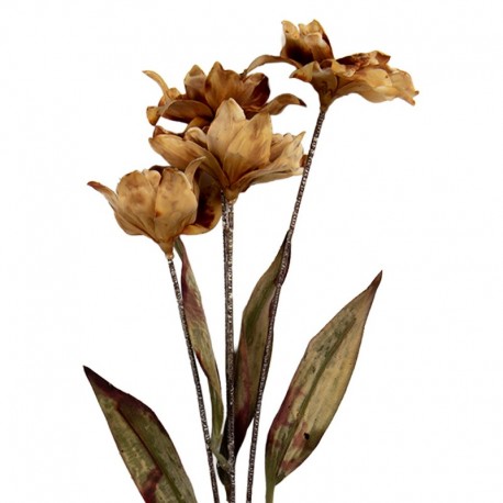 Sztuczne Kwiaty Suszone 60 cm A Clayre & Eef