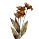 Sztuczne Kwiaty Suszone 60 cm B Clayre & Eef