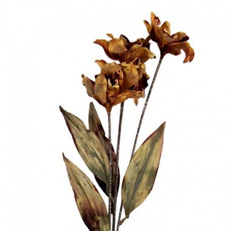 Sztuczne Kwiaty Suszone 60 cm B Clayre & Eef