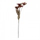 Sztuczne Kwiaty Suszone 60 cm C Clayre & Eef