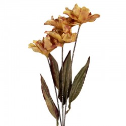 Sztuczne Kwiaty Suszone 60 cm D Clayre & Eef