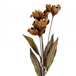 Sztuczne Kwiaty Suszone 60 cm E Clayre & Eef
