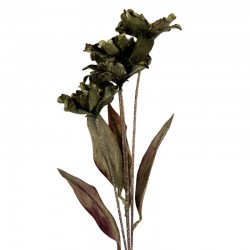 Sztuczne Kwiaty Suszone 60 cm F Clayre & Eef