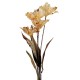 Sztuczne Kwiaty Suszone 60 cm J Clayre & Eef