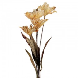 Sztuczne Kwiaty Suszone 60 cm J Clayre & Eef