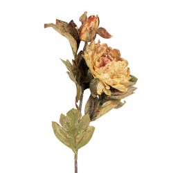 Sztuczne Kwiaty Suszone 77 cm Clayre & Eef
