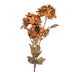 Sztuczne Kwiaty Suszone 76 cm A Clayre & Eef