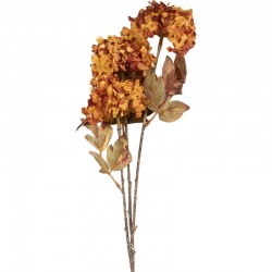 Sztuczne Kwiaty Suszone 76 cm D Clayre & Eef