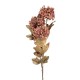Sztuczne Kwiaty Suszone 76 cm C Clayre & Eef