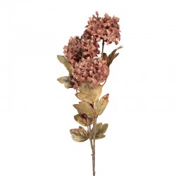 Sztuczne Kwiaty Suszone 76 cm C Clayre & Eef