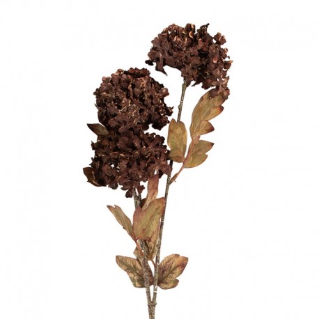 Sztuczne Kwiaty Suszone 76 cm E Clayre & Eef