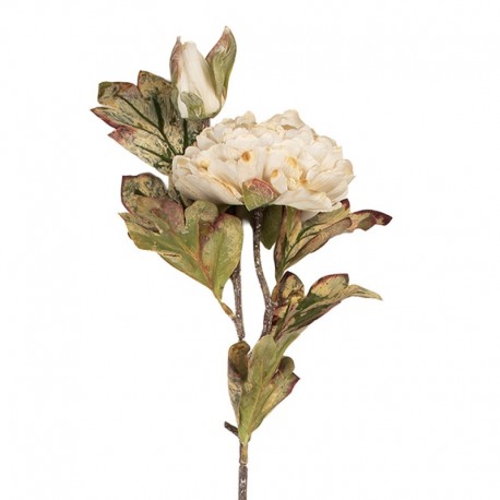 Sztuczne Kwiaty Suszone 76 cm F Clayre & Eef