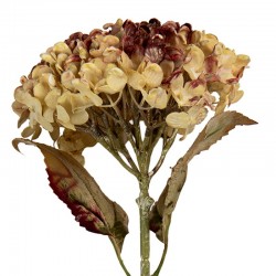 Sztuczna Hortensja Suszona 47 cm D Clayre & Eef