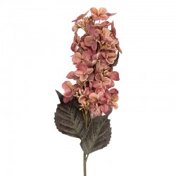 Sztuczne Kwiaty Suszone 70 cm A Clayre & Eef