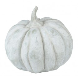 Dynia Belldeco Garden Old