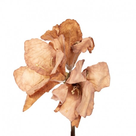 Sztuczny Hibiskus Gałązka 65 cm C Clayre & Eef