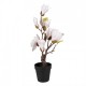 Sztuczna Magnolia w Doniczce 40 cm Clayre & Eef