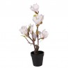 Sztuczna Magnolia w Doniczce 40 cm Clayre & Eef