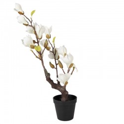 Sztuczna Magnolia w Doniczce 60 cm Clayre & Eef