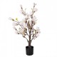 Sztuczna Magnolia w Doniczce 75 cm Clayre & Eef