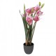 Sztuczne Kwiaty w Doniczce 55 cm Clayre & Eef