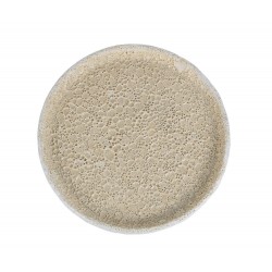 Talerz Ozdobny Belldeco Garden Old White D