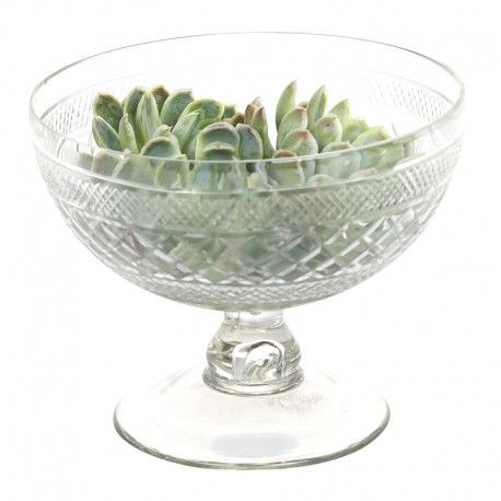 Miska Na Nóżce Provence Chic