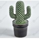 Kaktus Ceramiczny Belldeco 1