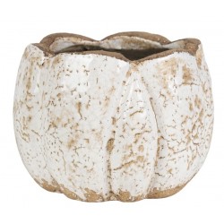 Osłonka Belldeco Roma Pękata 1