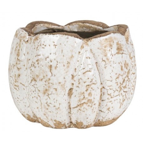 Osłonka Belldeco Roma Pękata 1