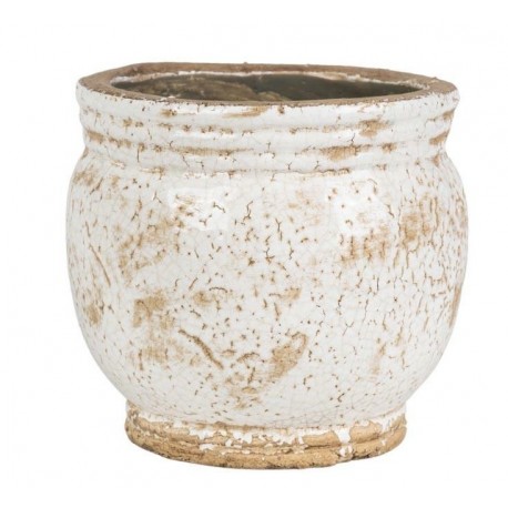 Osłonka Belldeco Roma Pękata 2