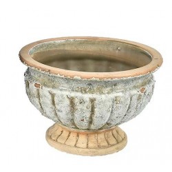 Osłonka Belldeco Na Nodze Roma B