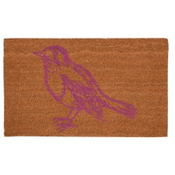 Wycieraczka Z Ptaszkiem Kokosowa