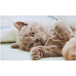 Wycieraczka Wewnętrzna Z Kotem Clayre & Eef