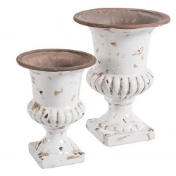 Osłonka Puchar Belldeco Roma B