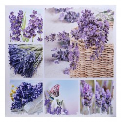 Obraz z Lawendą 1