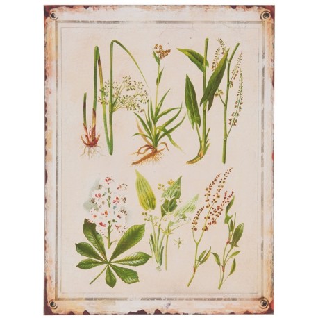 Obraz Vintage z Roślinami