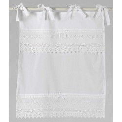 Zazdrostka Prowansalska