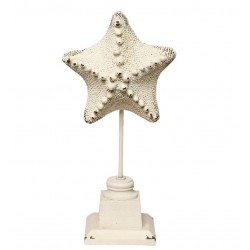 Figurka Marynistyczna Rozgwiazda