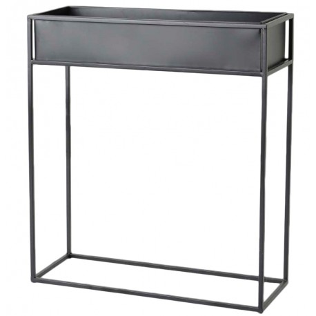 Kwietnik Prowansalski Biały B