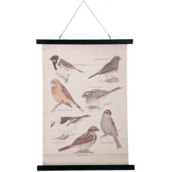 Obraz Mapa z Ptaszkami