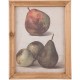 Obraz z Owocami B