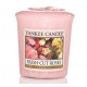 Świeczka Yankee Candle Votive Gujawa