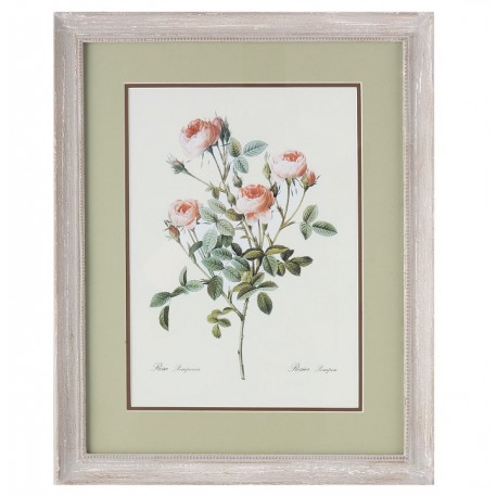 Obraz Prowansalski Róże A