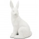 Królik Ozdobny Biały Matowy C