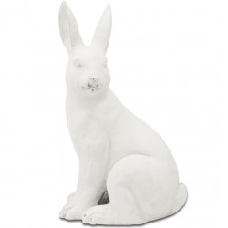 Królik Ozdobny Biały Matowy C