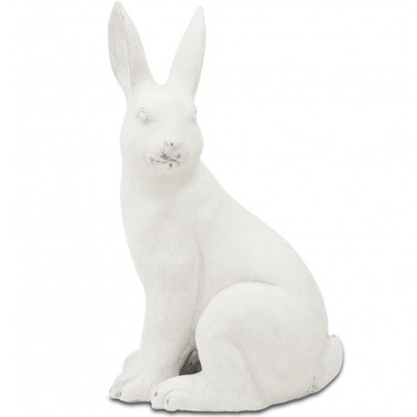 Królik Ozdobny Biały Matowy C