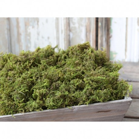 Sztuczny Mech Chic Antique